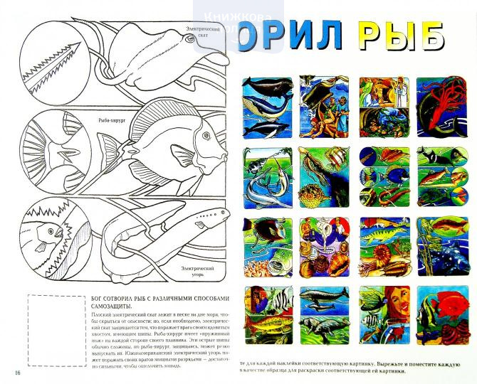 Бог сотворил рыб. Для детей 6-10 лет. С наклейками