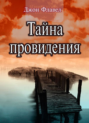 Тайна провидения (e-book)