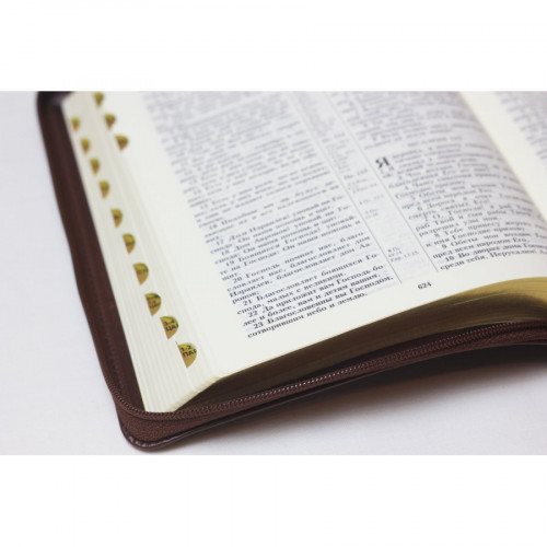 Библия 055zti коричневая, полоска с виноградной лозой, золотой обрез, молния, индексы) (11544)