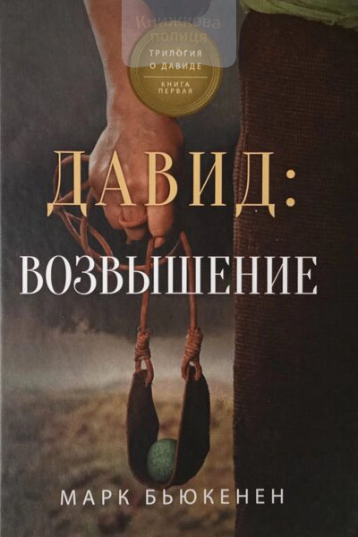 Давид: возвышение. Книга 1