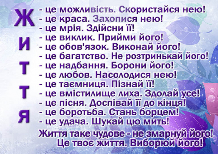 Магніт Життя - це / малий / Коберник