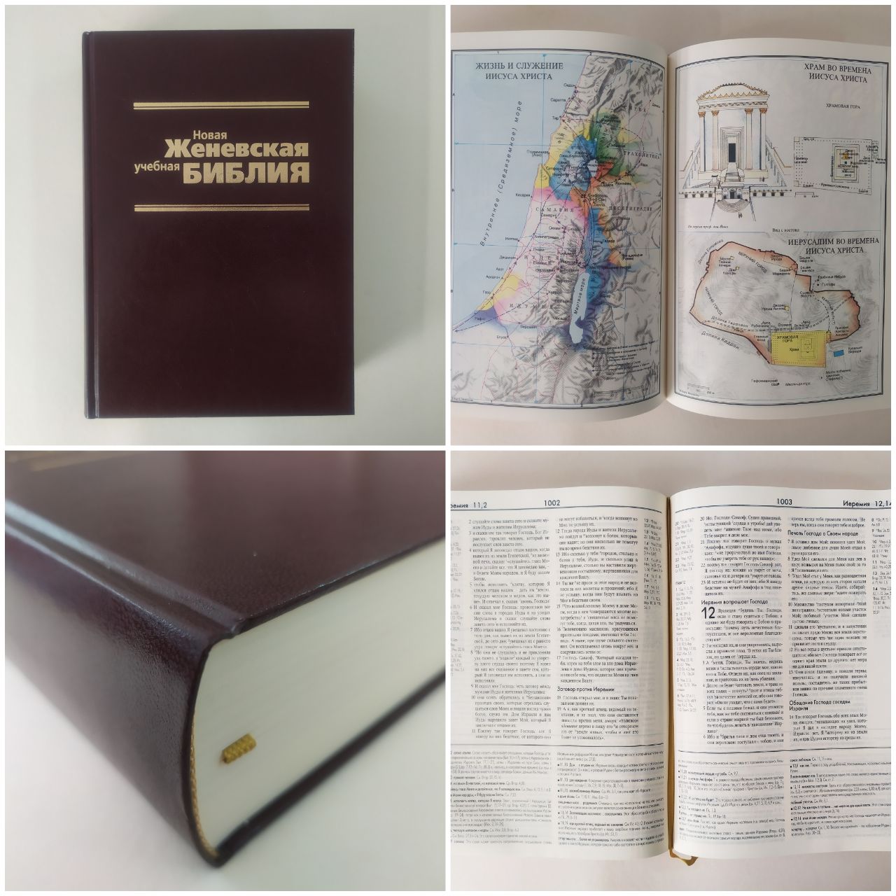 Новая женевская учебная Библия