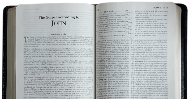 The Defender"s Stady Bible King James Version / чорна золотий зріз без індексів, ляссе, коробка