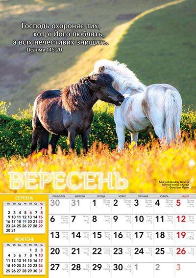 Календар 2027 "В тіні крил збережи мене, Боже" / перекидний