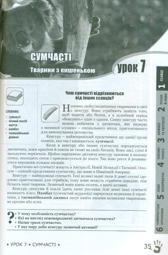 Божий задум. Світ тварин